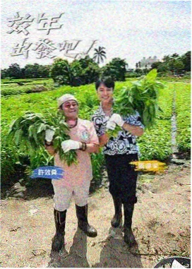 综艺封面